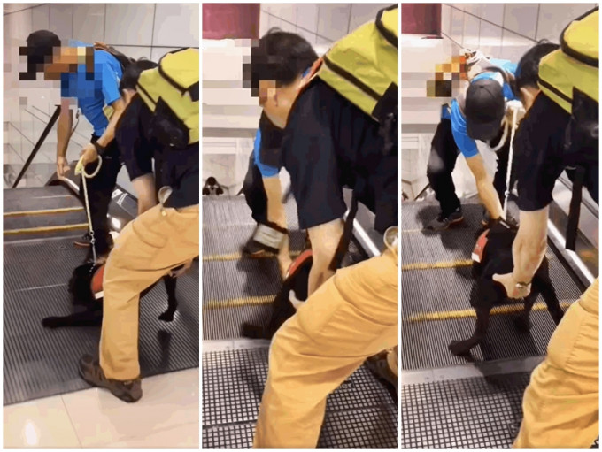 有导盲犬疑被两名男子强制拖行至扶手电梯。网民Max Lau影片截图