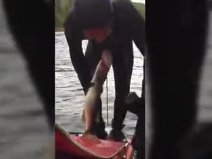俄罗斯一名男子捕鱼时，惨遭狗鱼咬下体不放，尴尬向朋友求助。（网图）