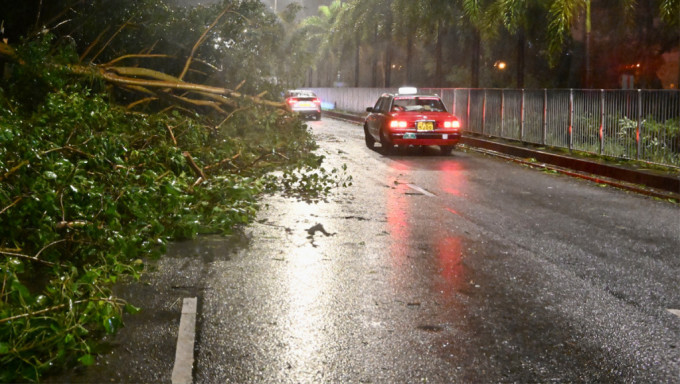 港今年首掛8號風球 颱風最常損失為吹爆玻璃 家居保與火險有何不同？