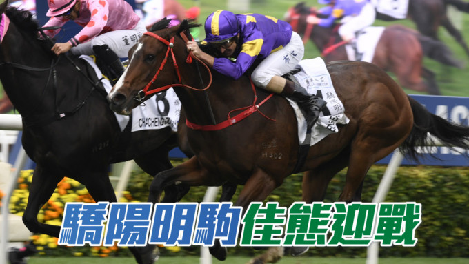 「骄阳明驹」将以佳态迎战香港打吡大赛。