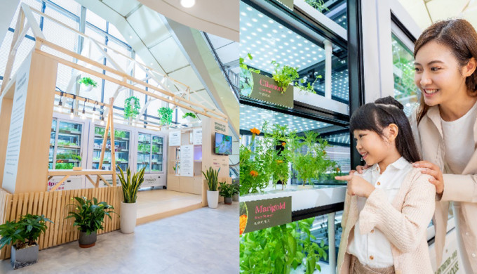 屯門市廣場設立首個位於商場內的「智能室內種植園」GREENHOUSE@tmtplaza。