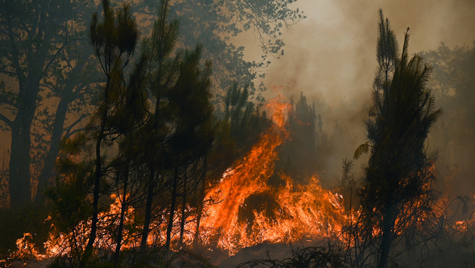 法国热浪高温创纪录山火肆虐，西南部吉伦特省延烧进入第7天。AP图