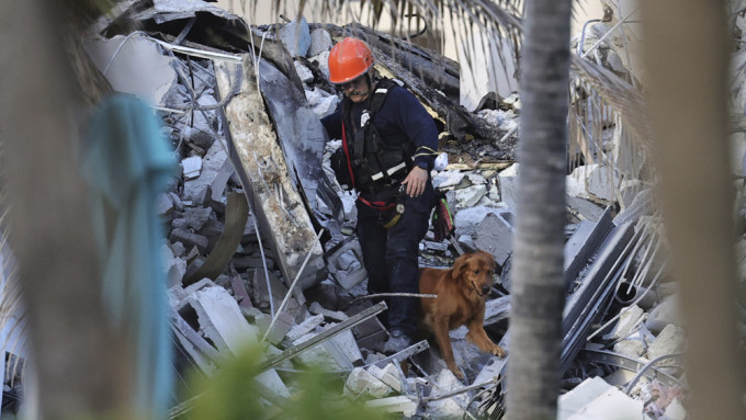 消防员携搜救犬，寻找近百名失踪人士。AP图