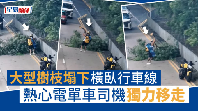 一名电单车手早上发现有大型树枝塌下并阻塞行车线，随即下车独自移开树枝。「马路的事 (即时交通资讯台)」影片截图