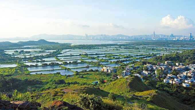 長江實業申請在后海灣濕地魚塘「豐樂圍」發展住宅項目，早年已獲城規會批准。