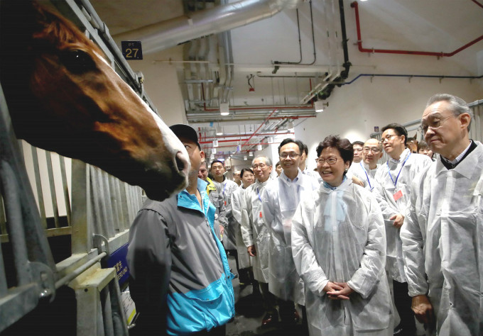 参观香港赛马会从化马场的马房。政府新闻处