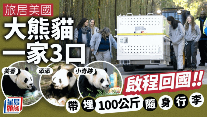旅居美国大熊猫一家3口启程回国。