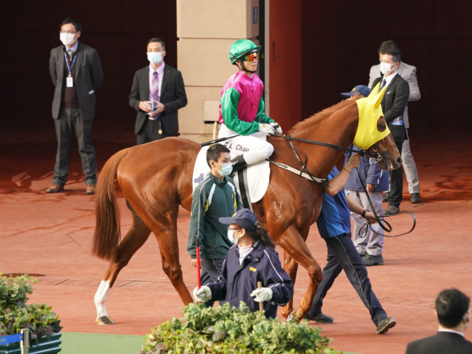 「連連歡樂」最終只能以第十一名過終點。 Curry攝