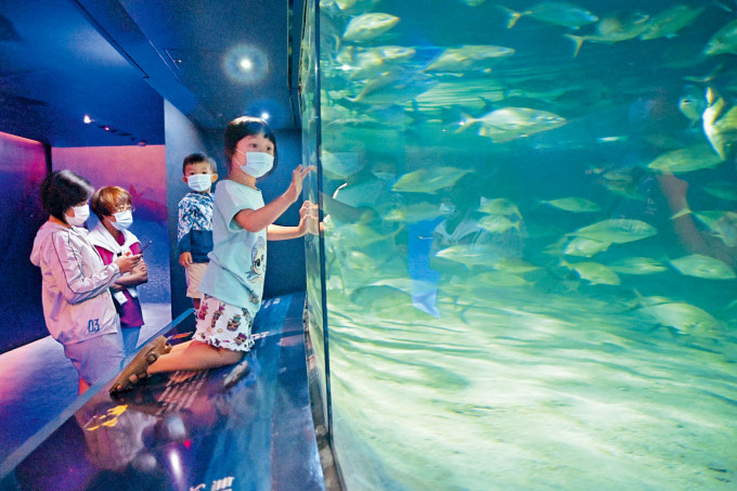 ■小女孩在水族馆里，被大群鱼儿急速游过的场面吸引。