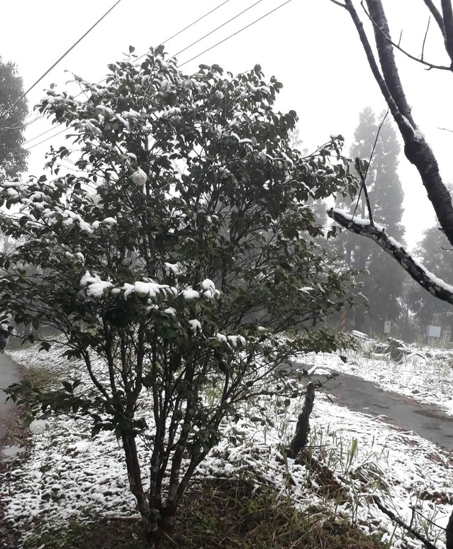 新北市乌来今早出现降雪的情况。 网上图片