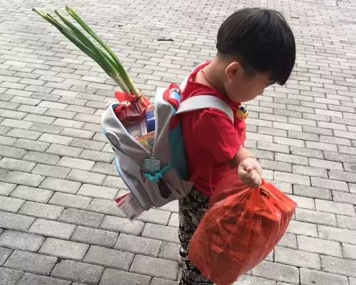 书包里插著两棵大葱，手中还拿著两大袋东西的男童。 网上图片