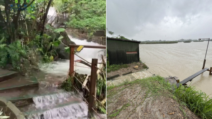 世紀暴雨｜嘉道理農場大規模清理暫停開放 米埔濕地設施未見損毀