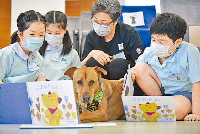 缺少右前肢的唐狗「的士黄」，在约七年前被收养，受训为陪伴小学生阅读故事的伴读犬，广受学生欢迎。