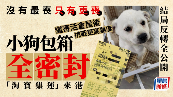网购平台揭发有人企图淘宝集运活体小狗来港。