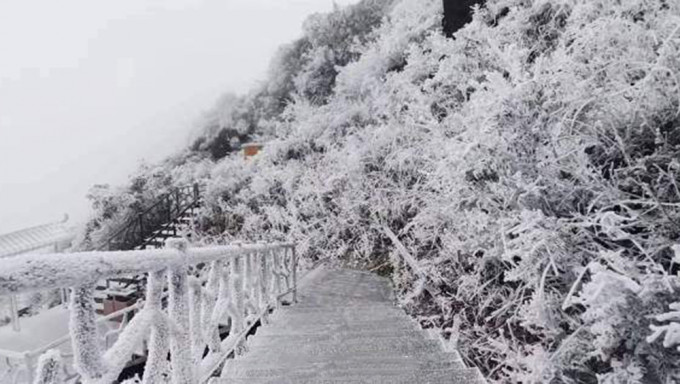 广东下雪了，粤北的偏北市县零下1℃至2℃；南部市县7℃～11℃。