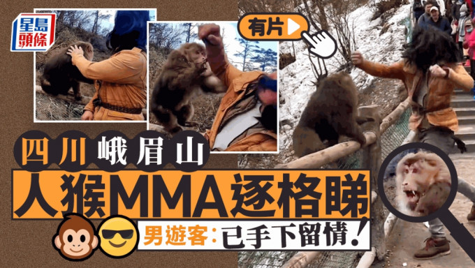 四川峨眉山日前上演了一人和猴子的MMA。 網片截圖