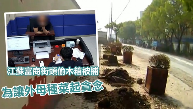 張家港一名身家逾億的商人，因偷取街道上的種植用木箱被捕。網上影片截圖