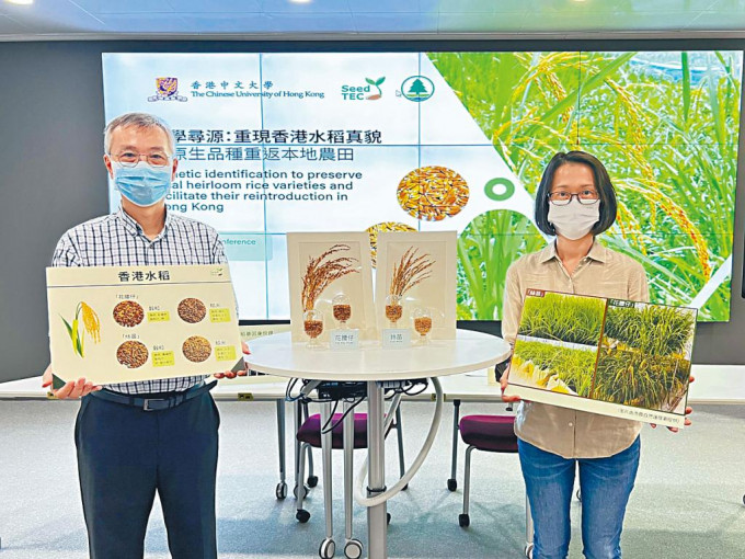 圖為項目負責人香港中文大學卓敏生命科學教授林漢明教授（左）及漁農自然護理署農業主任王敏維女士（右）。