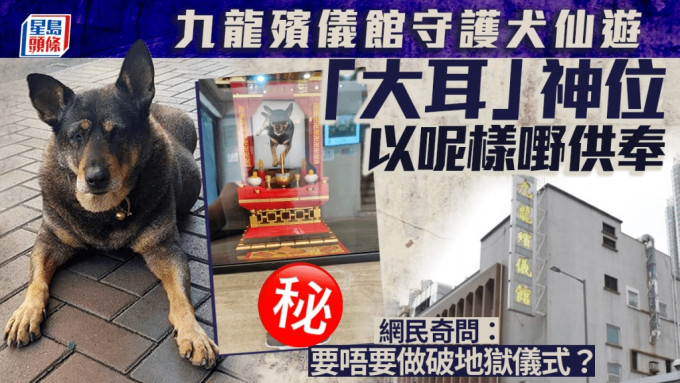 九龍殯儀館守護犬仙遊 「大耳」神位以呢樣嘢供奉 網民：要唔要破地獄？