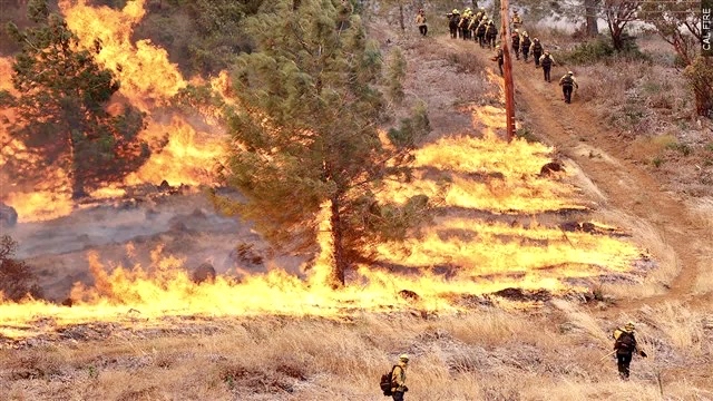 加州一名消防員涉嫌縱火被捕。 CAL FIRE