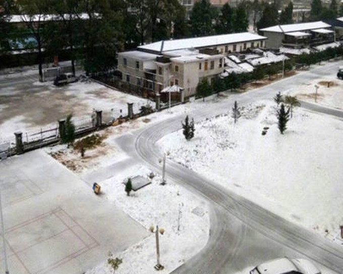 多個地區都鋪上白雪。網上圖片