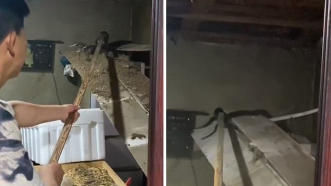 吉林省有妇人任由蟒蛇留在家中以求好运，结果令房子屋子被压塌。网上影片截图