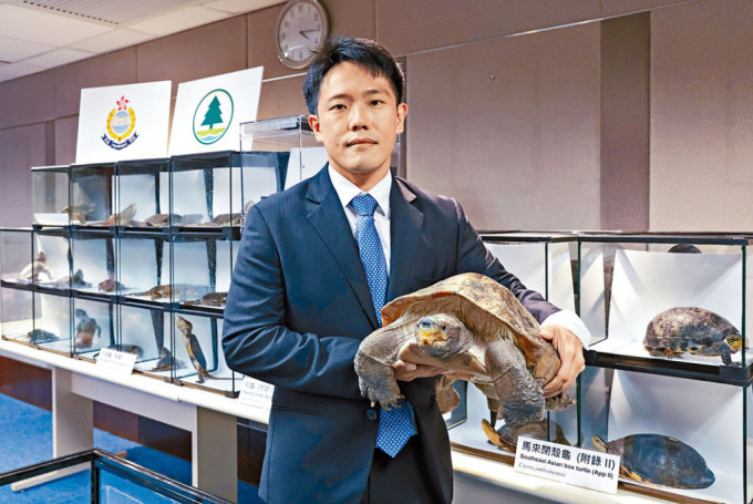 渔护署濒危物种保护主任（行动）刘特铨展示检获的亚洲巨龟。