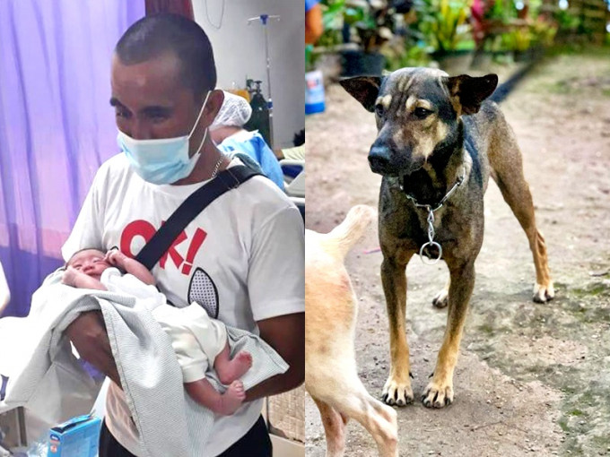 机智狗狗成功带男途人救了弃婴。Sibonga Wcpd Facebook