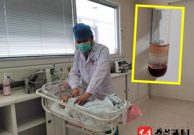 醫護人員早前為小楊楊抽血時，竟意外抽出「牛奶血」。網圖