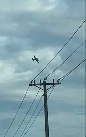 涉案小型飞机被摄到在密西西比州图珀洛市附近上空盘旋。路透社