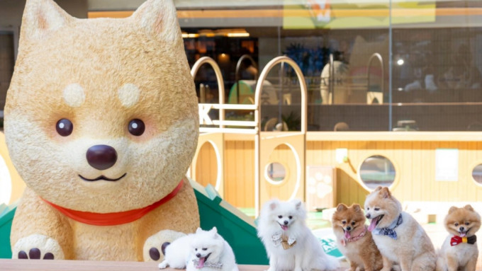 沙田新城市广场推出全新户外宠物乐园 。FB图片
