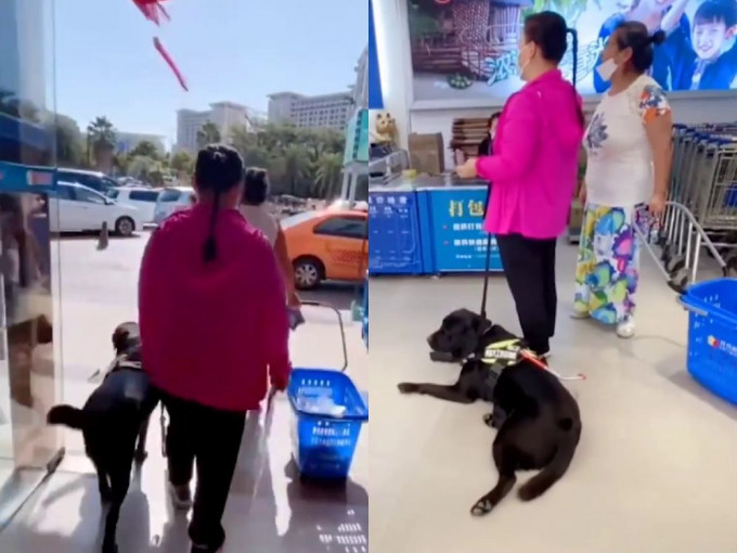 海南有超市拒绝盲人带导盲犬购物。(网图)