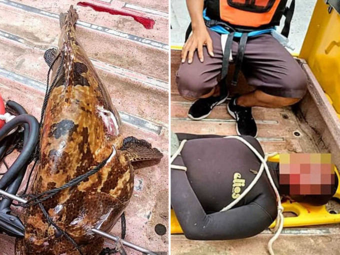 菲律宾渔夫原本开心地捕获大石斑，未料之后遭拖入湖溺毙。网图