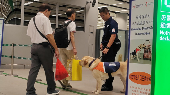 检疫侦缉犬于边境管制站协助执法人员执勤。政府新闻处