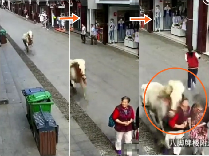 安徽有一匹马突然当街狂奔起来，撞伤路人，被民警开枪击毙。影片截图　