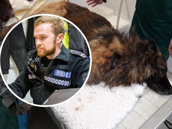 諾丁咸郡（Nottinghamshire）指派了一名警員，專門處理偷狗案，成為英國首位動物警察。諾丁咸郡警局圖片
