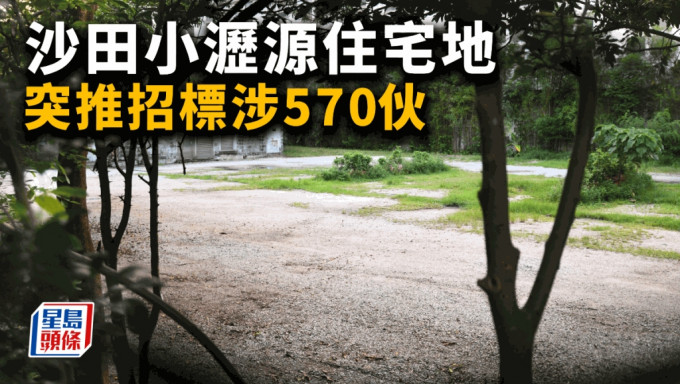 沙田小沥源住宅地 突推招标涉570伙