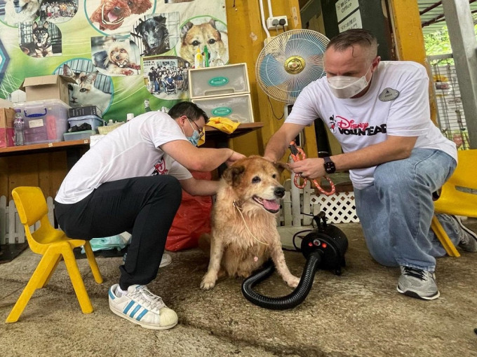 迪士尼義工到訪元朗數間動物庇護中心。
阿棍屋動物暫託中心FACEBOOK圖片