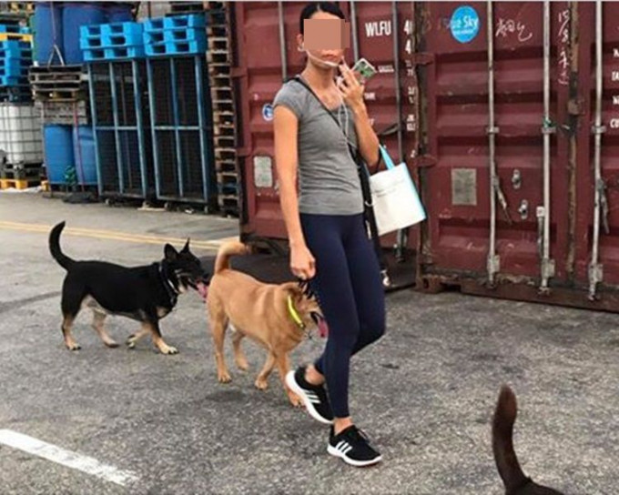 網民氣憤地指圖中女子係碼頭放狗唔清理大小便。圖：Fb