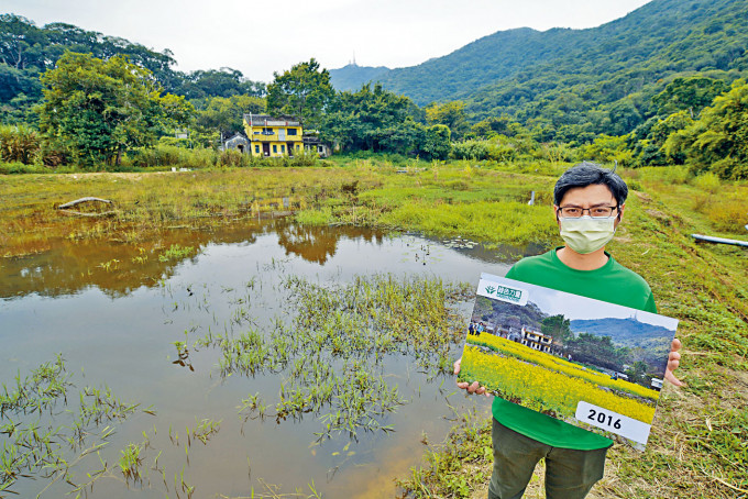 「綠色力量」將油菜花田回復至沙螺洞的濕地生態。