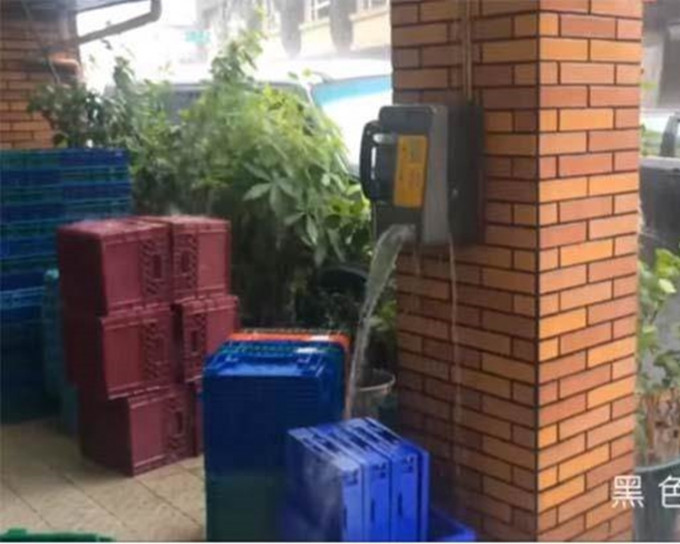 雨势相当猛烈。片段截图