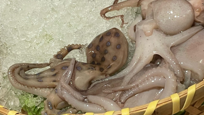 網民在火鍋店驚見怪章魚。 網圖