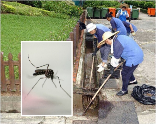 食环署进行第三期全港性灭蚊运动。资料图片