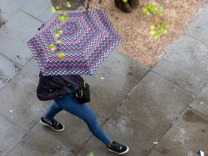 今早多区有大雨。