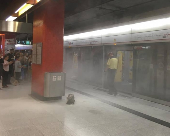 港鐵荔枝角站月台冒煙，乘客走出車廂。網民Edward Yu/ 香港突發事故報料區fb群組
