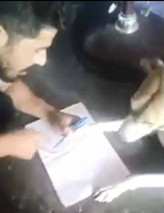 要狗學習在筆記本寫字。