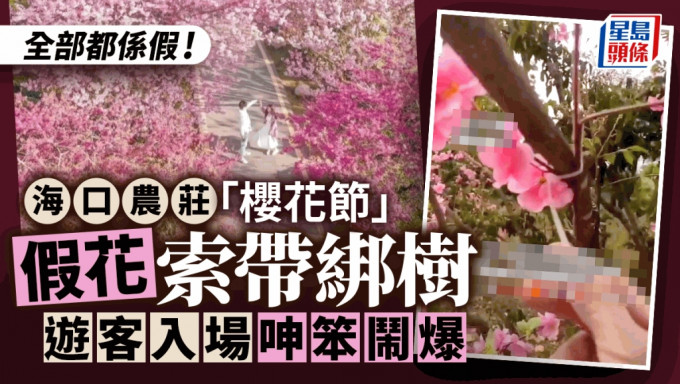 有遊客不滿農莊「櫻花節」全部使用假花。
