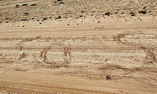两留学生在沙地上画出SOS字样。