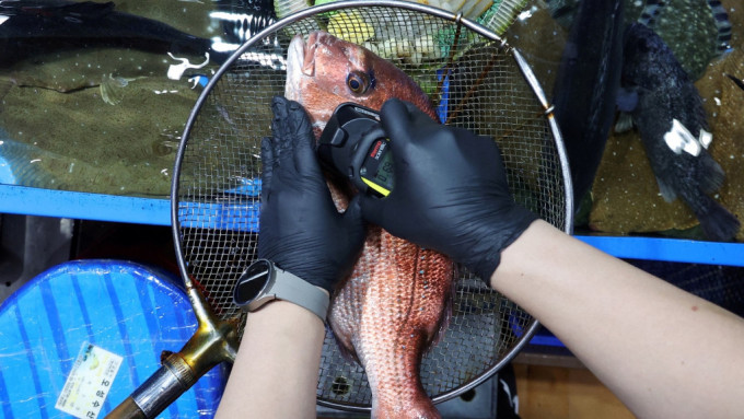  南韓官員在首爾鷺梁津水產批發市場檢測日本進口的魚類的輻射水平。當局自2011年福島核災難以來，一直定期做檢測。 路透社