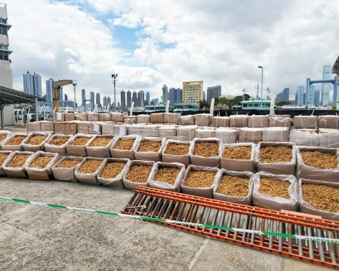 行动检获1060箱共重34吨花旗参，是本港历来最大宗花旗参走私案。